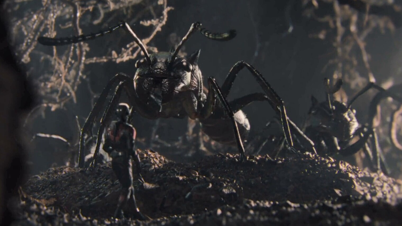 Bullet Ants | Ant-Man Film Clip