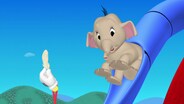Daisy's Pet Project