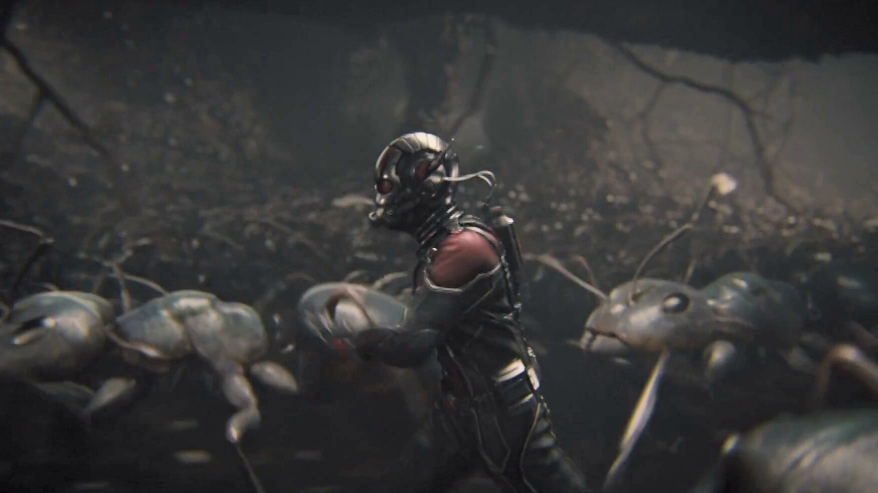 Training With The Ants | Ant-Man Film clip