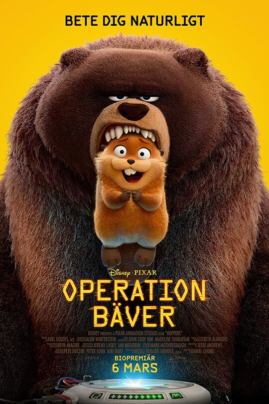 Operation Bäver