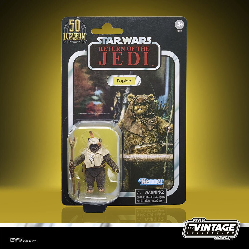 Star Wars The Vintage Collection - Paploo the Ewok box