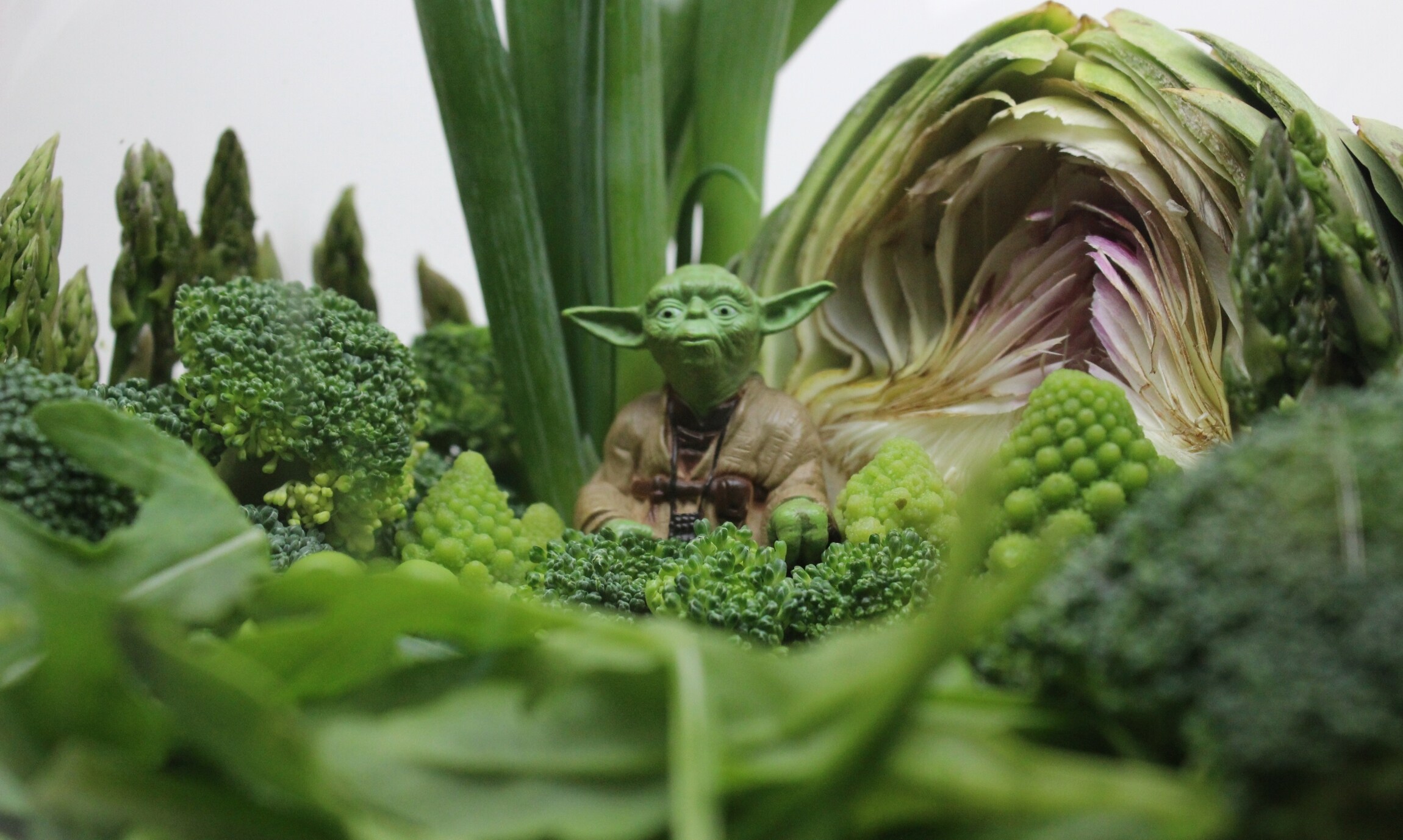 Yoda Vegetable Terrarium | StarWars.com