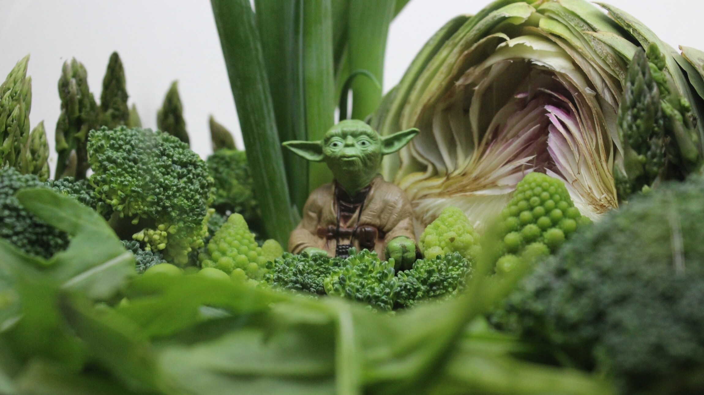 Yoda Vegetable Terrarium