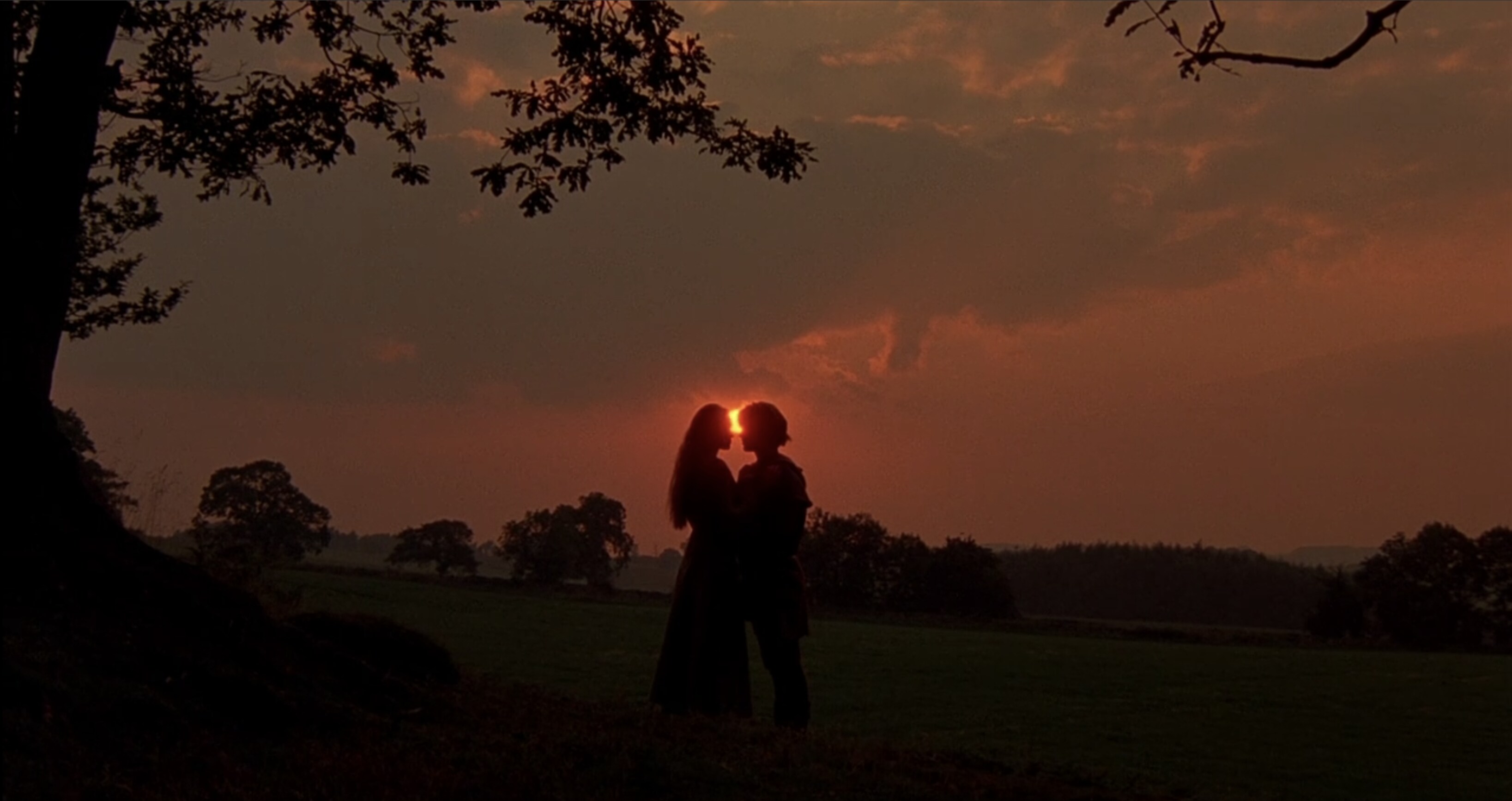 The Princess Bride