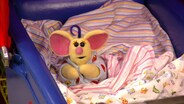 Mousesitting