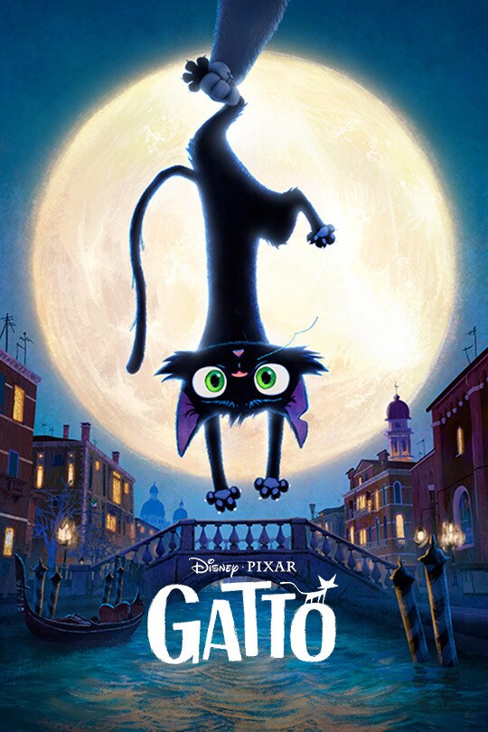 Gatto