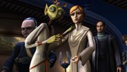 "Senate Murders"
