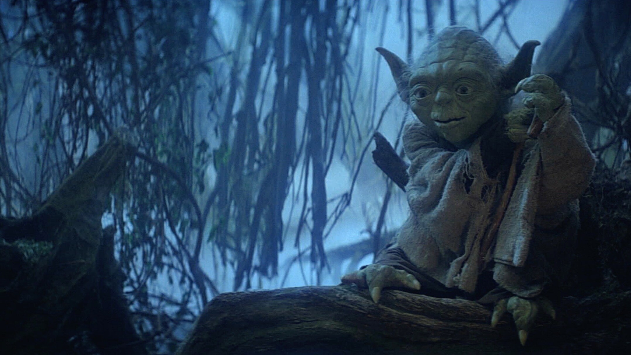5 of Yoda's Funniest Moments