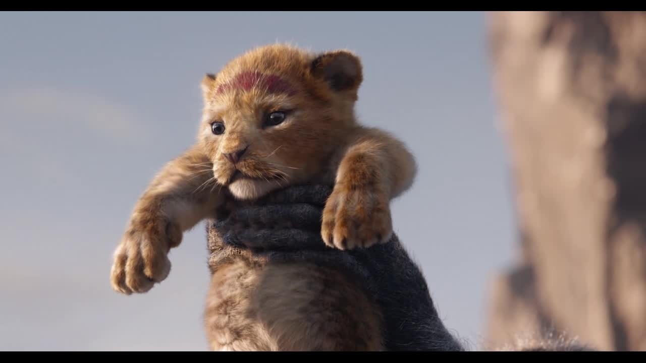 The Lion King 19 Streaming Now On Disney