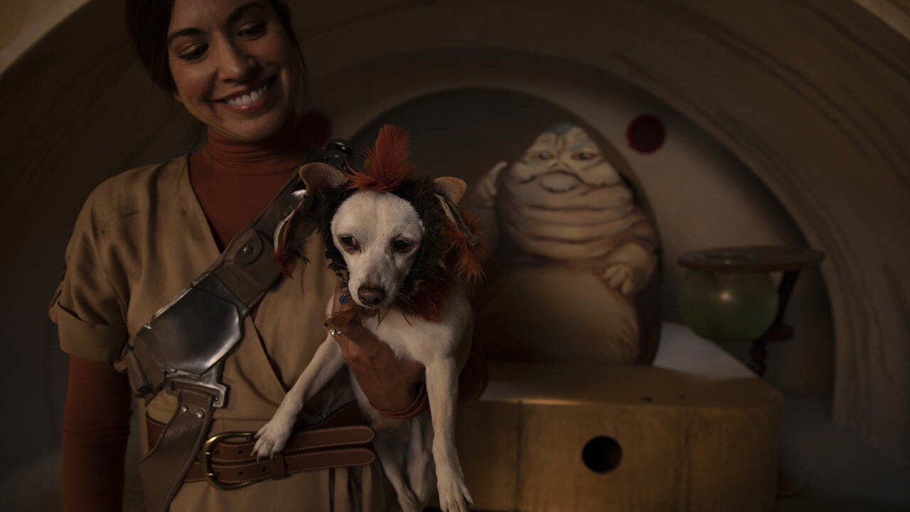Jennifer Landa poses with her dog, Chuy, who is dressed as Salacious B. Crumb.