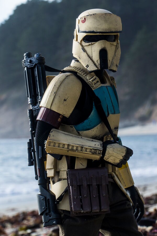 A toy stormtrooper posed on a beach.