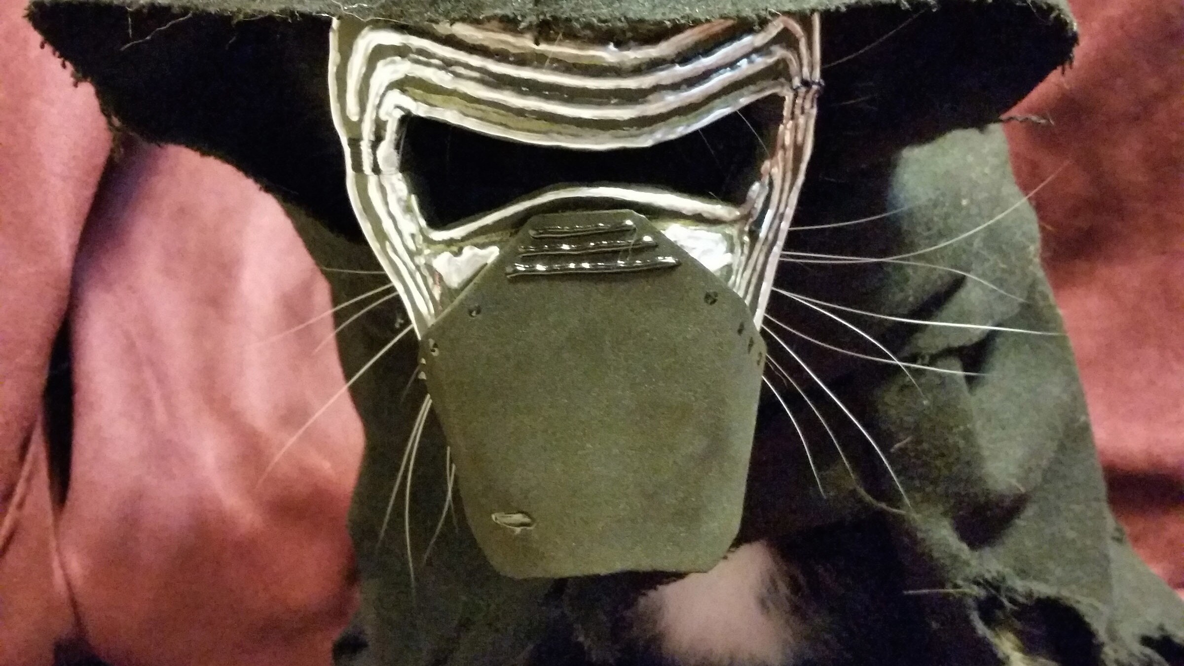 Fully Operational Fandom: Pets in Star Wars Costumes Are the Best