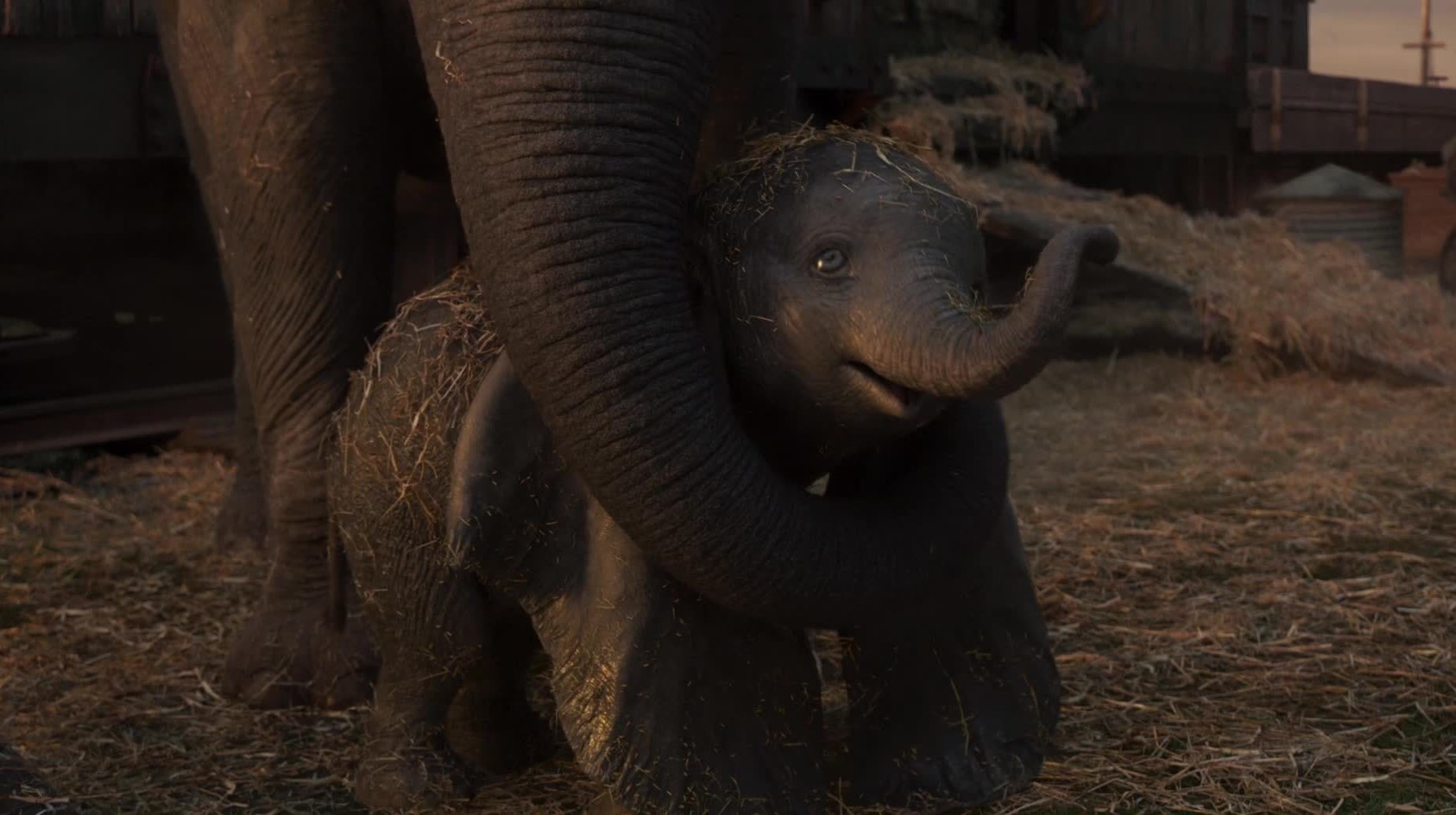Dumbo | In Theaters March 29