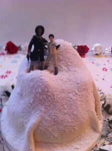 Bowman hothweddingcake