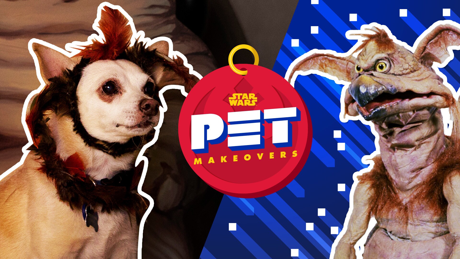 Salacious B. Crumb and Princess Leia | Star Wars Pet Makeovers by Oh My Disney