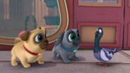The French Toast Connection/Take Me Out To The Pug Game