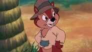 Chipwrecked Shipmunks