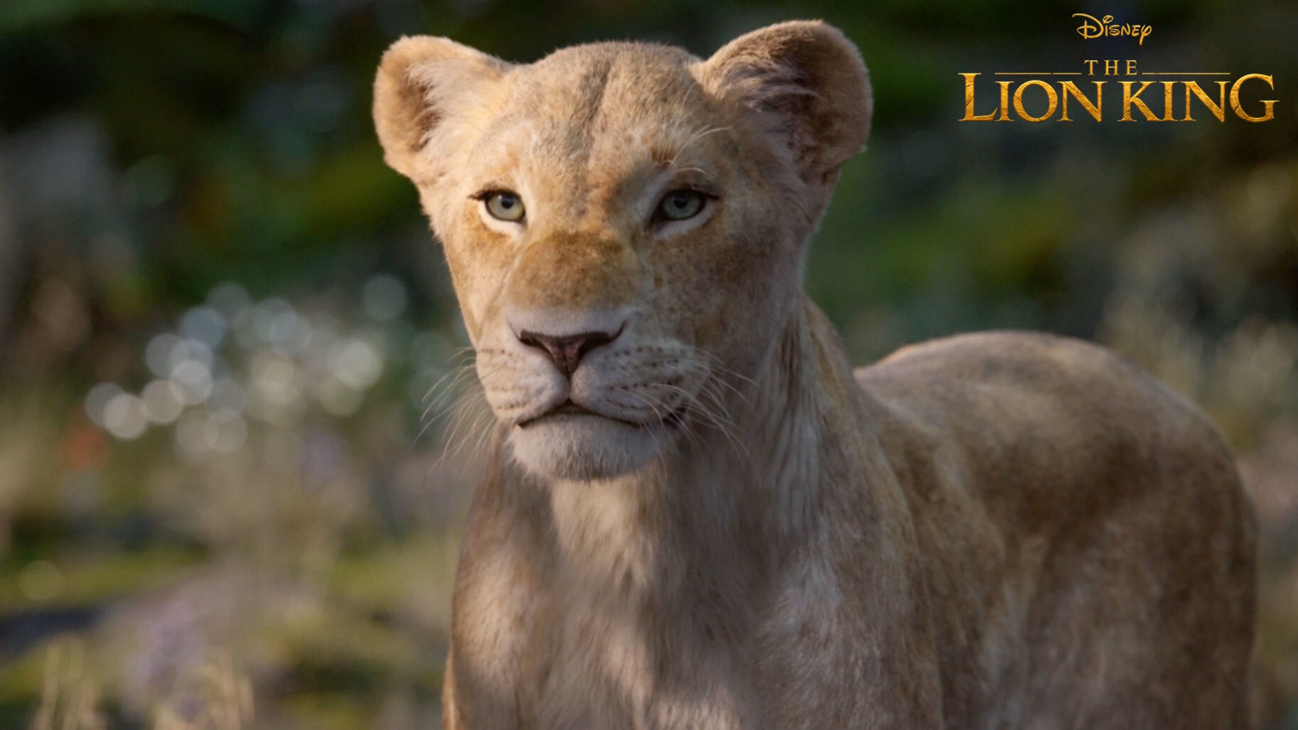 The Lion King Sneak Peek | “Come Home”