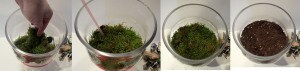 Dagobah Terrarium Moss and Dirt Layer