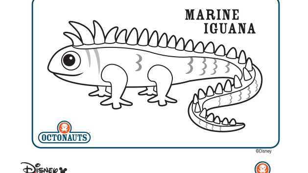 Octonauts Colossal Squid Coloring Page | Coloring Page