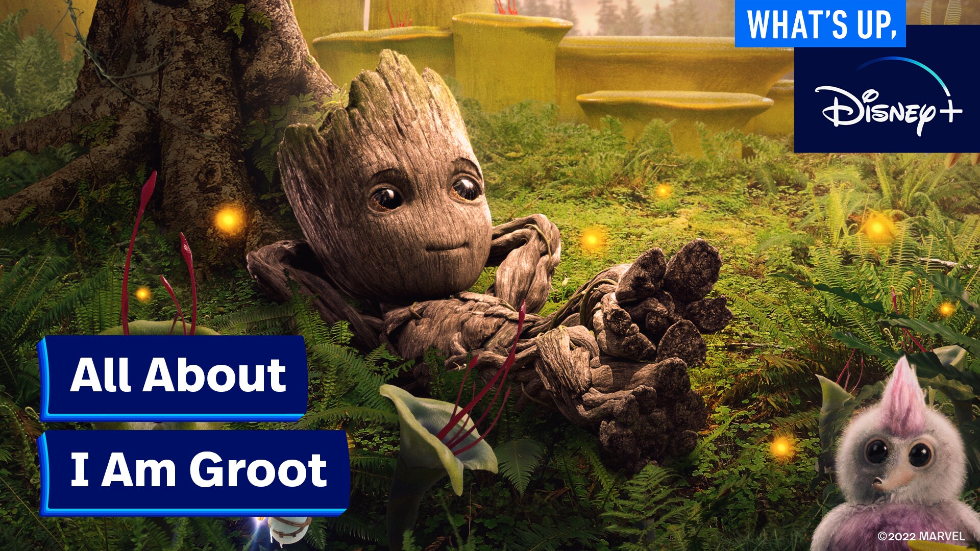 Marvel Studios' I Am Groot | What's Up, Disney+