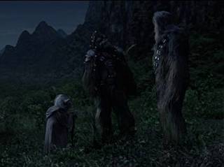 Yoda's Farewell to Chewbacca