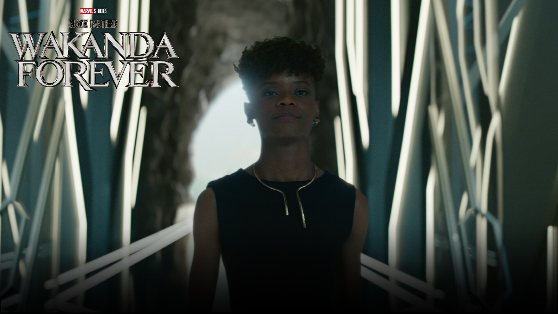 Marvel Studios’ Black Panther: Wakanda Forever | Time