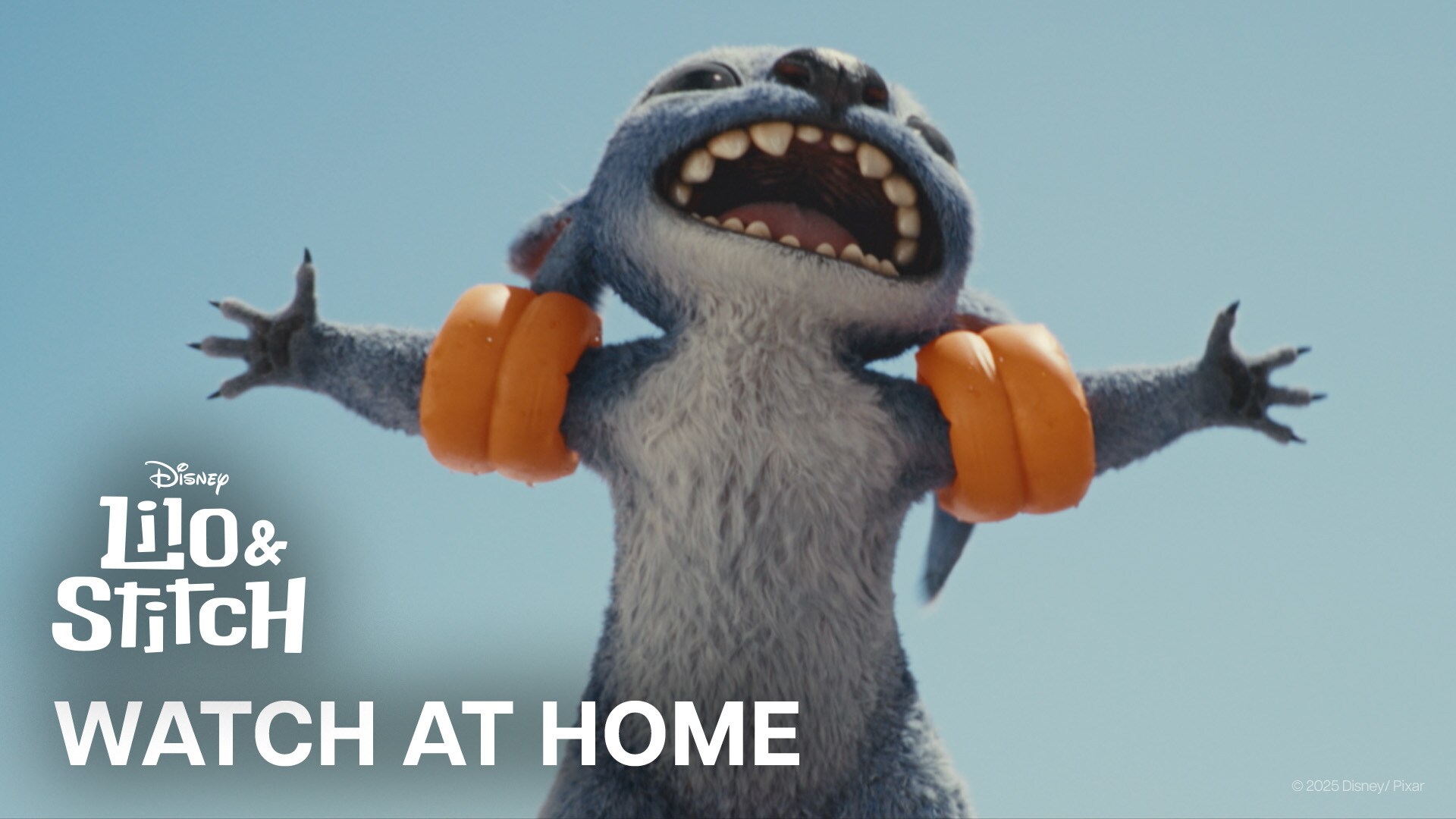 Lilo & Stitch | Watch again, and again, and again!