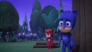 Catboy Squared / Gekko’s Super Gekko Sense