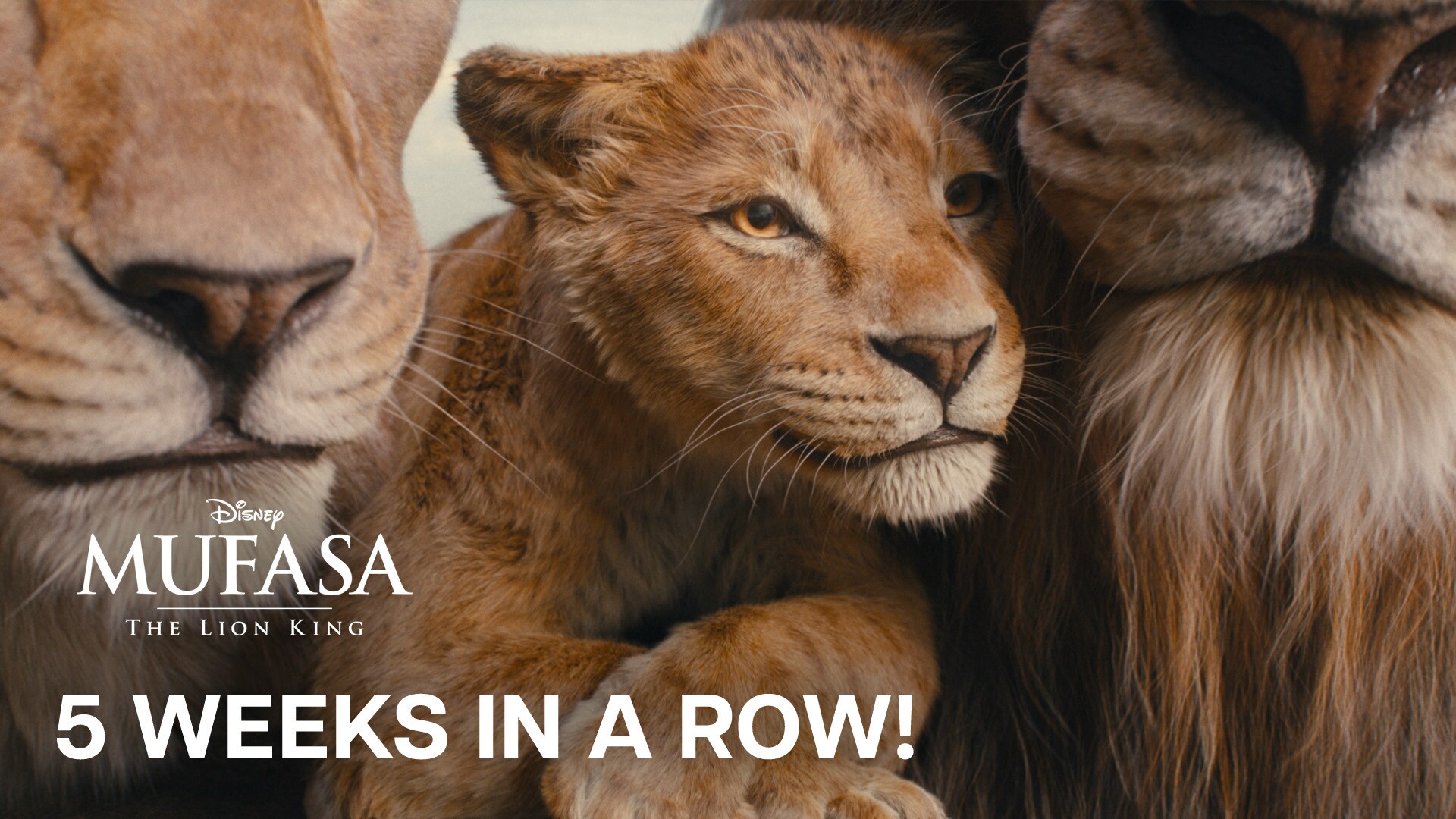 Mufasa: The Lion King | #1 Movie In The World 5 Weeks In A Row! | In Theaters Now