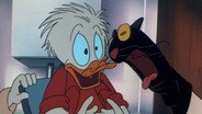 Cat and Louse