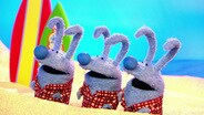 Bunny-a-Rama