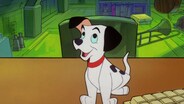 You Slipped a Disk / Chow About That?