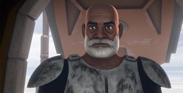 Star Wars Rebels - Lost Commanders Captain Rex