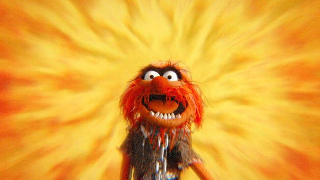 Can You Picture That? - Dr. Teeth and The Electric Mayhem