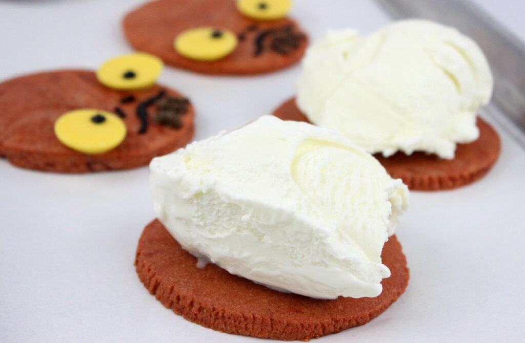 A scoop of ice cream on top of base cookies.