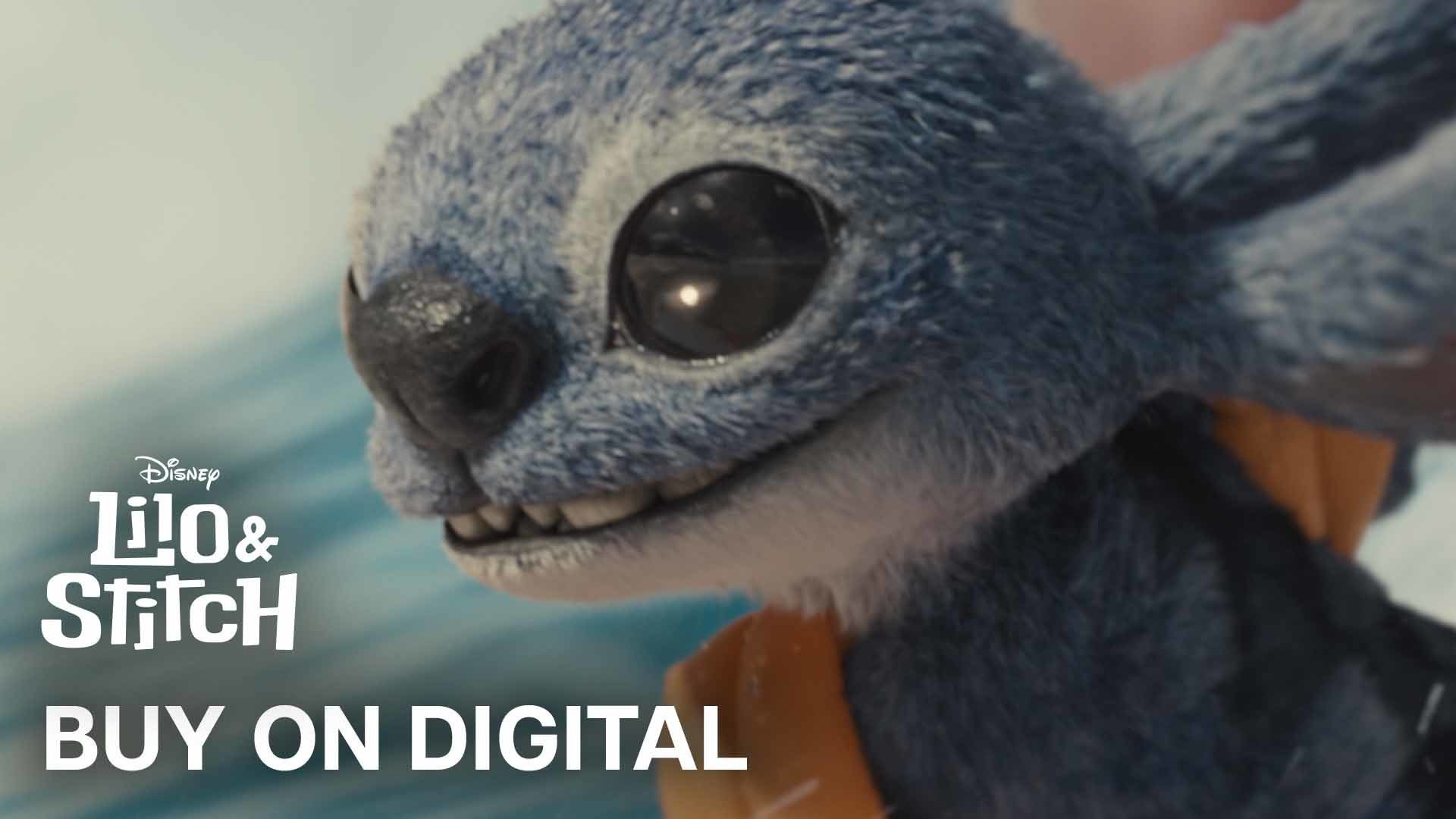 Lilo & Stitch | Fun For The Whole Family