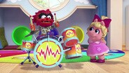 Animal's Show and Tell
