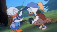 Ducks By Nature