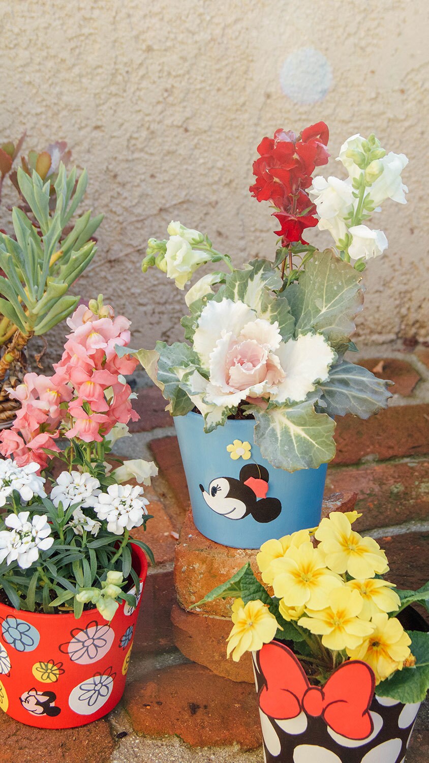Flowers in various Minnie Mouse themed planters.