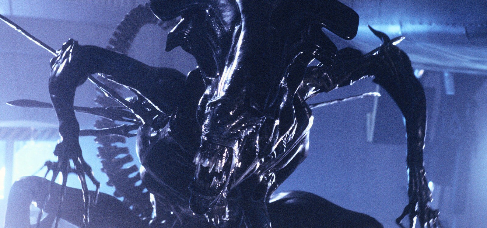 Adult alien from the movie "Aliens"