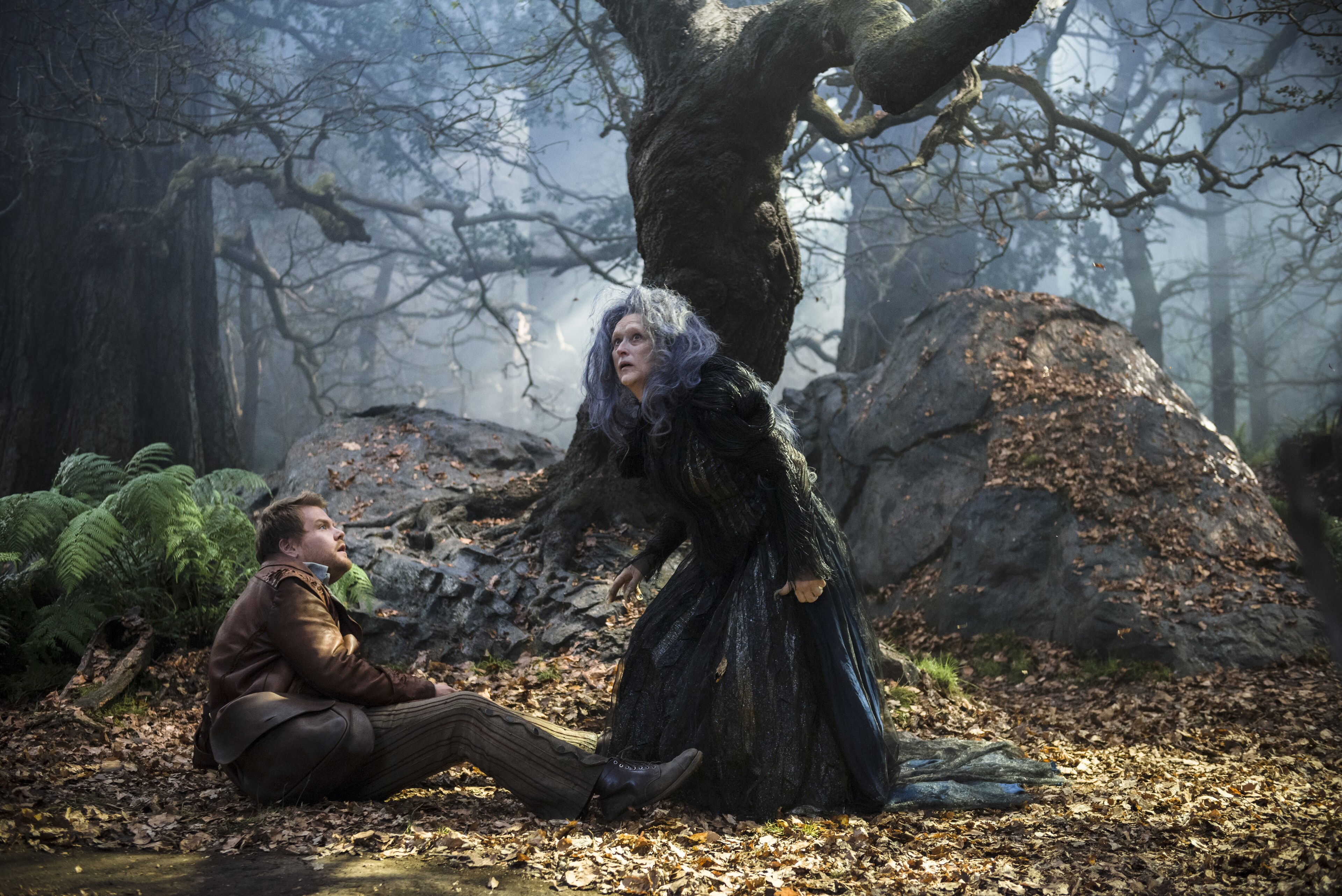 James Corden and Meryl Streep star in “Into the Woods"