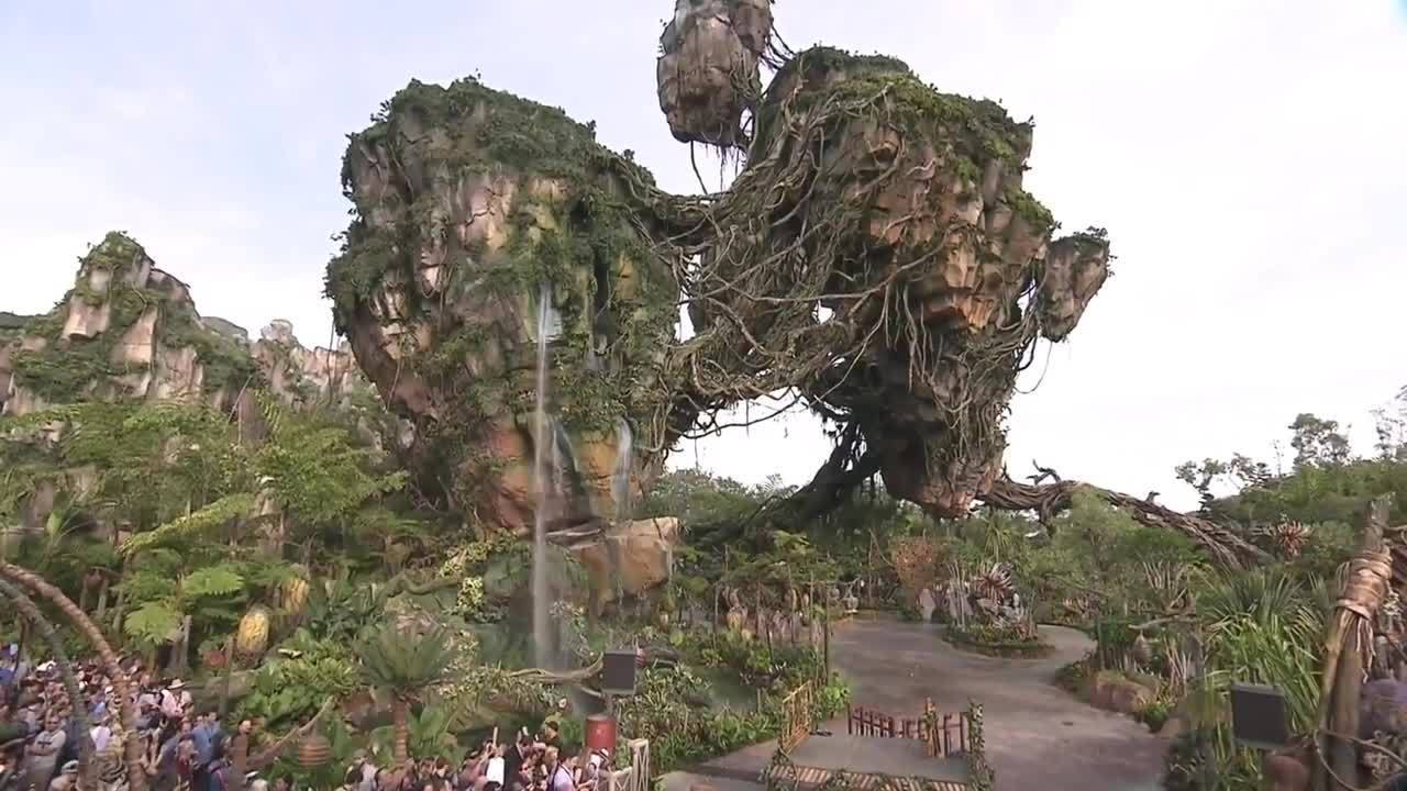 Pandora – The World of Avatar, Disney’s Animal Kingdom Theme Park at Walt Disney World Resort