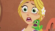 Rapunzel's Enemy