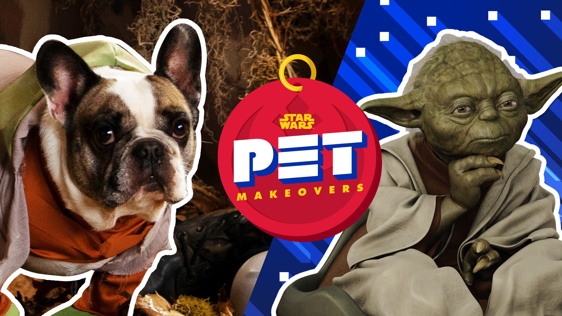 Yoda and Luke Skywalker | Star Wars Pet Makeovers by Oh My Disney