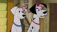 Dogs of De Vil / Dog's Best Friend