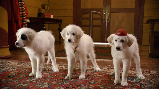 Santa Paws 2: The Santa Pups: Santa Pups Introduction