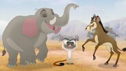 Rafiki's New Neighbors