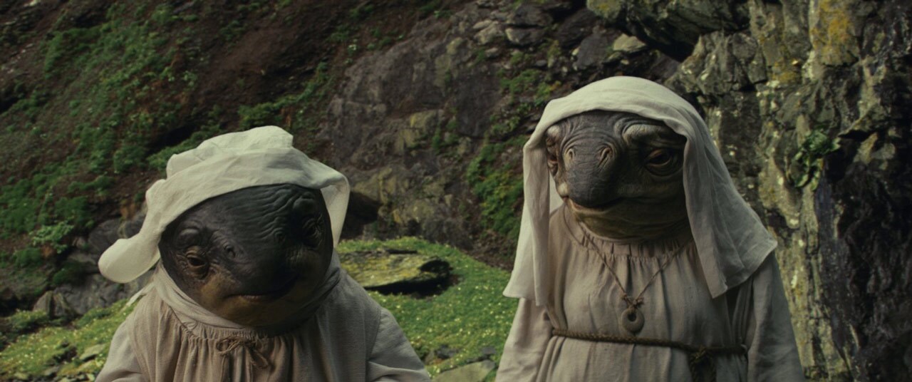 Two Caretakers stand side-by-side on Ahch-To in The Last Jedi.