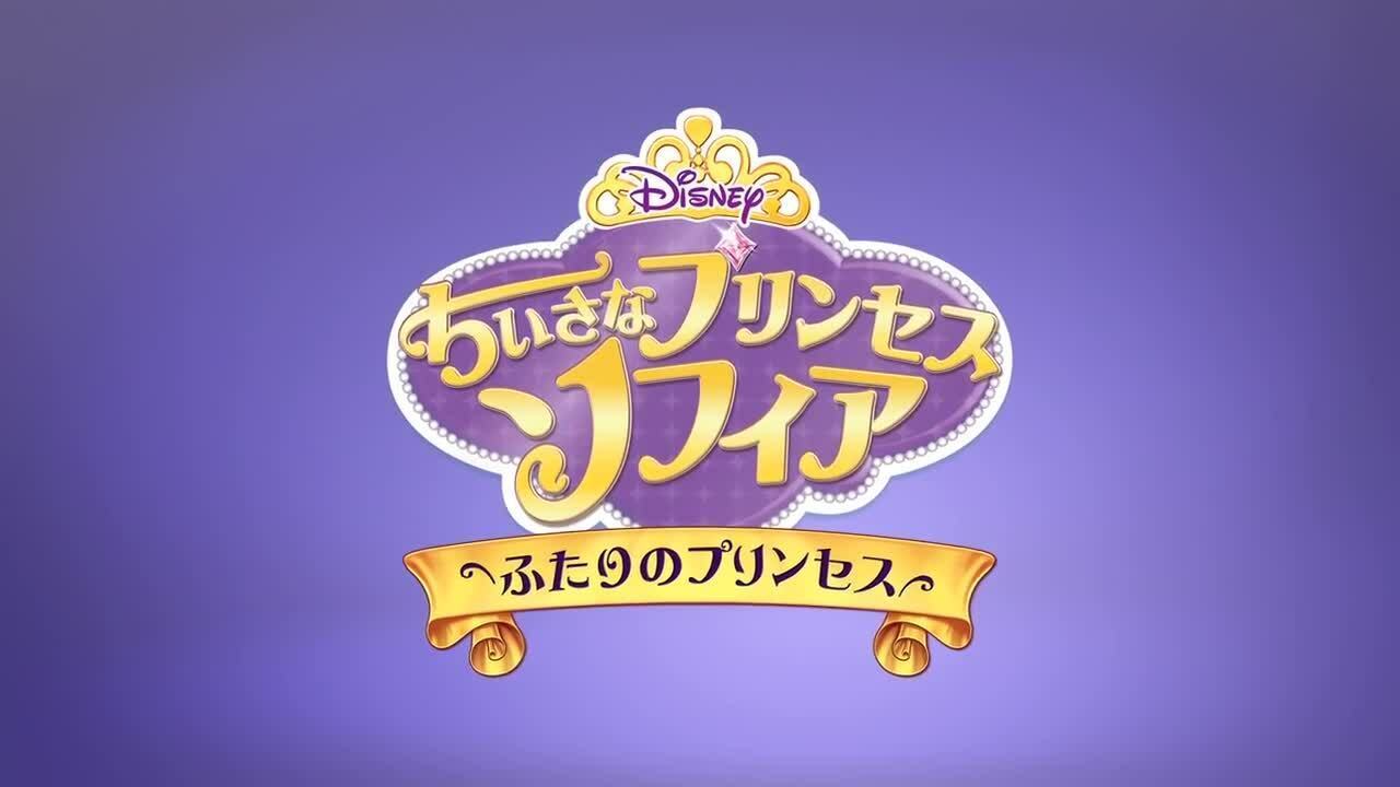 貴重品 ディズニー プリンセスBOX 2012 ちいさなプリンセス ソフィア